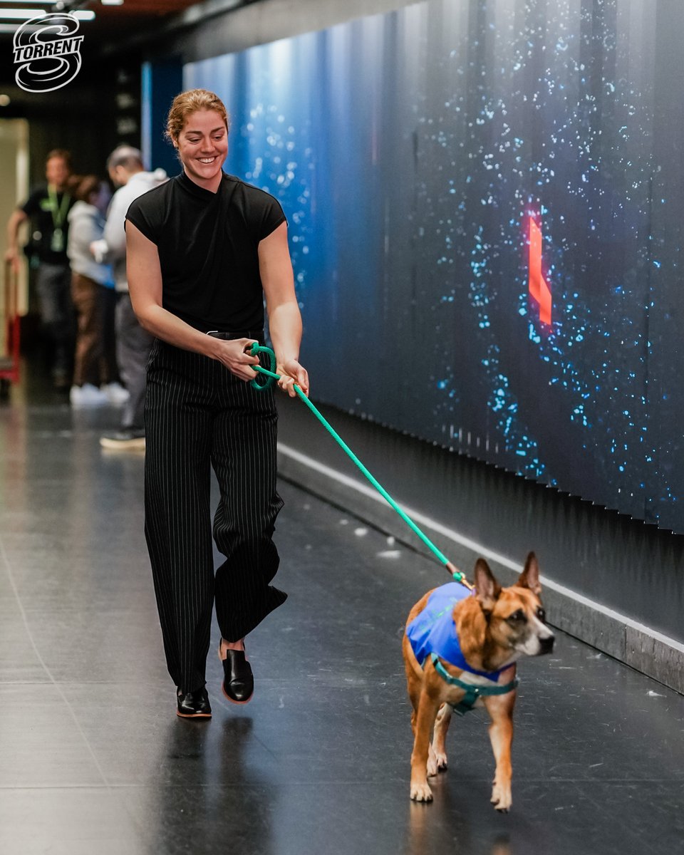 Seattle Torrent tweet media