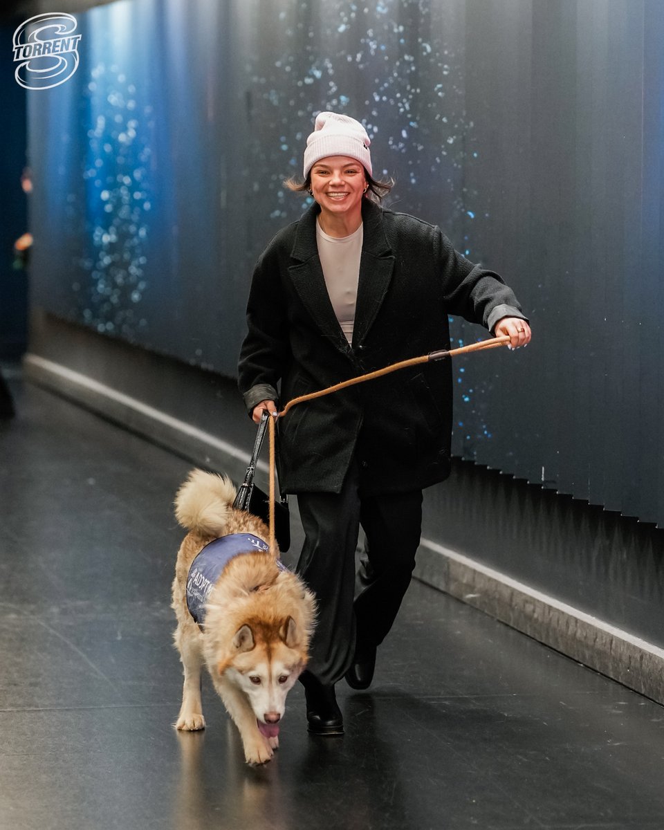 Seattle Torrent tweet media