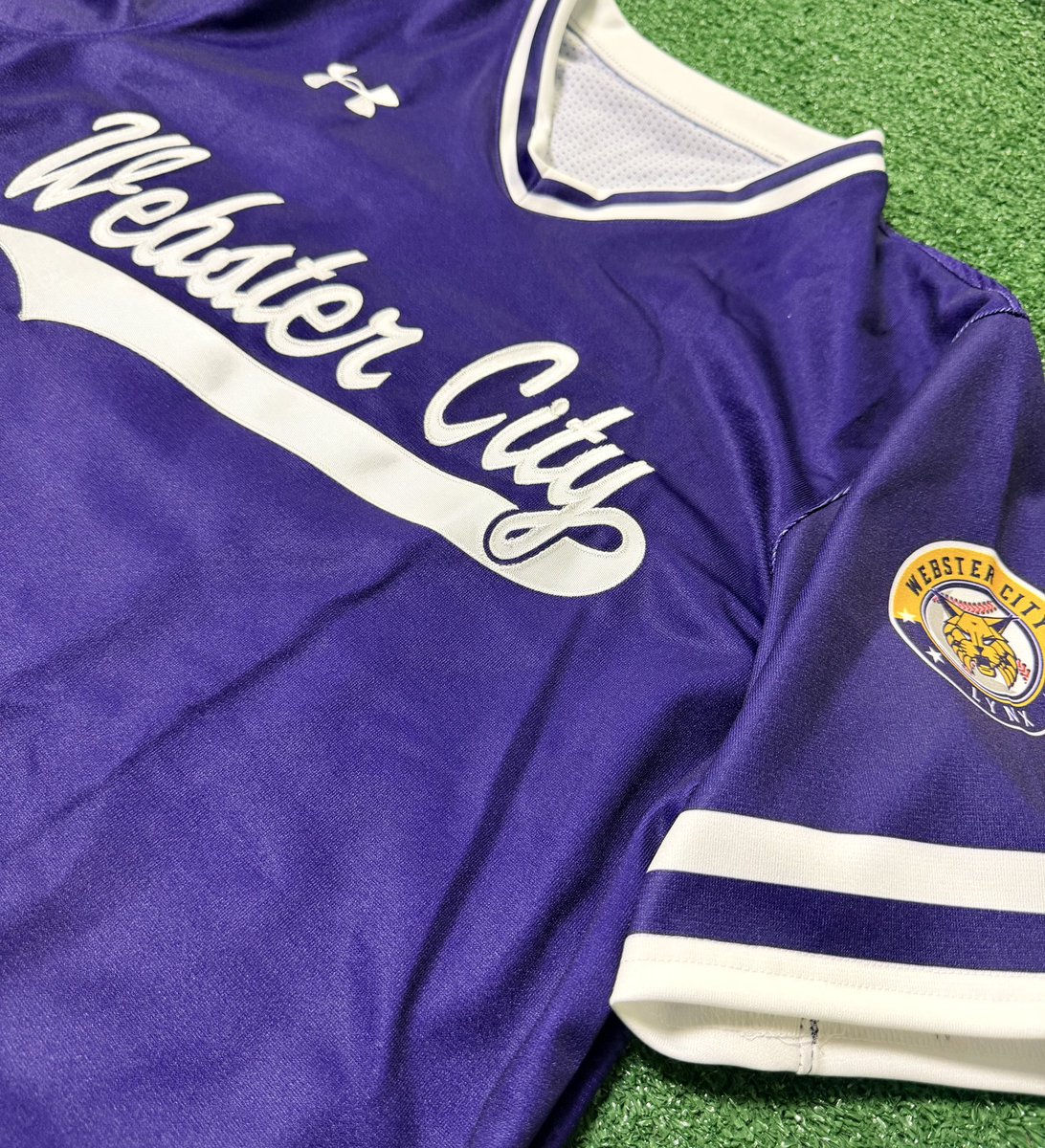 Webster City Lynx Baseball tweet media