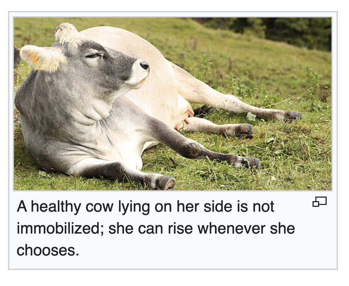 depths of wikipedia! tweet media