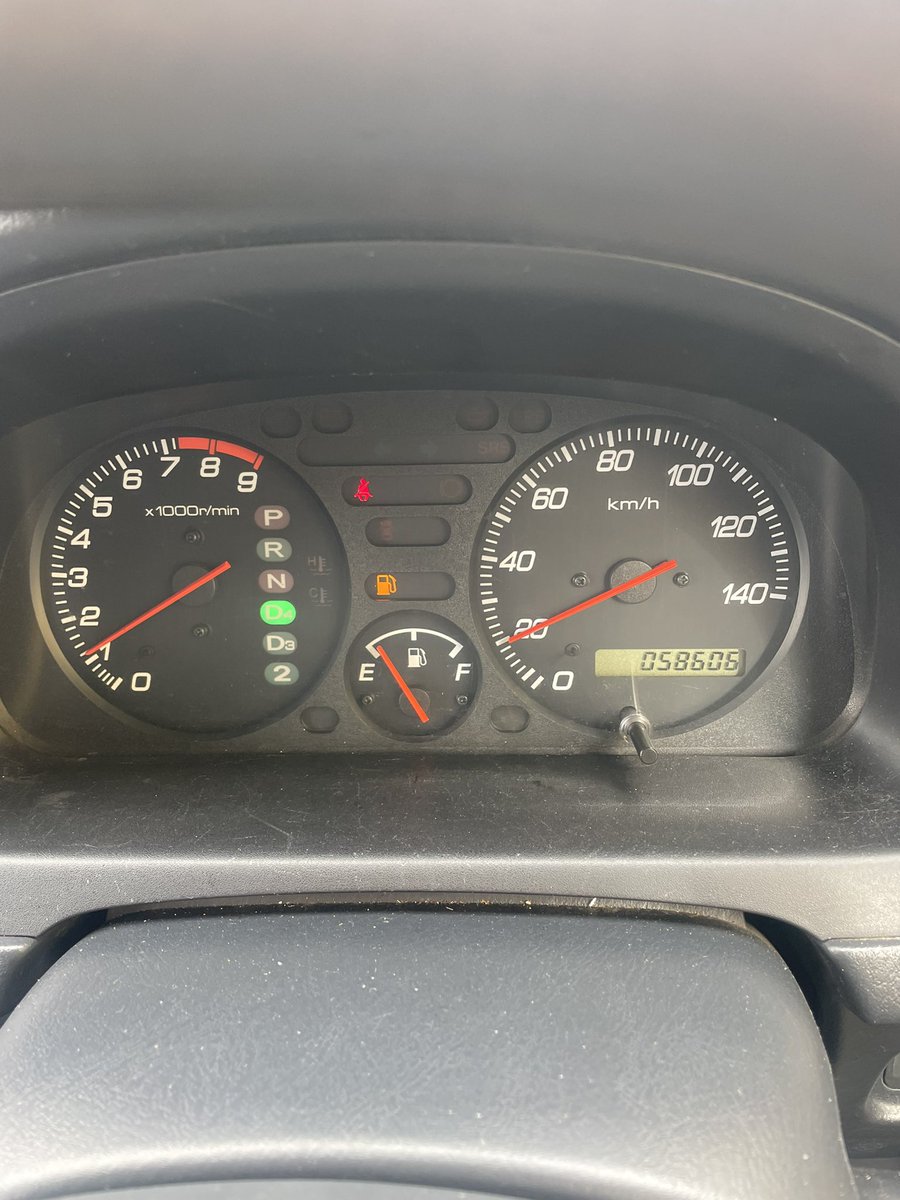 光林坊どうぶつえん通り店　新 tweet media