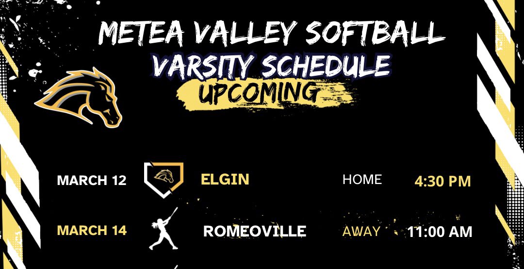 Metea Valley Softball tweet media