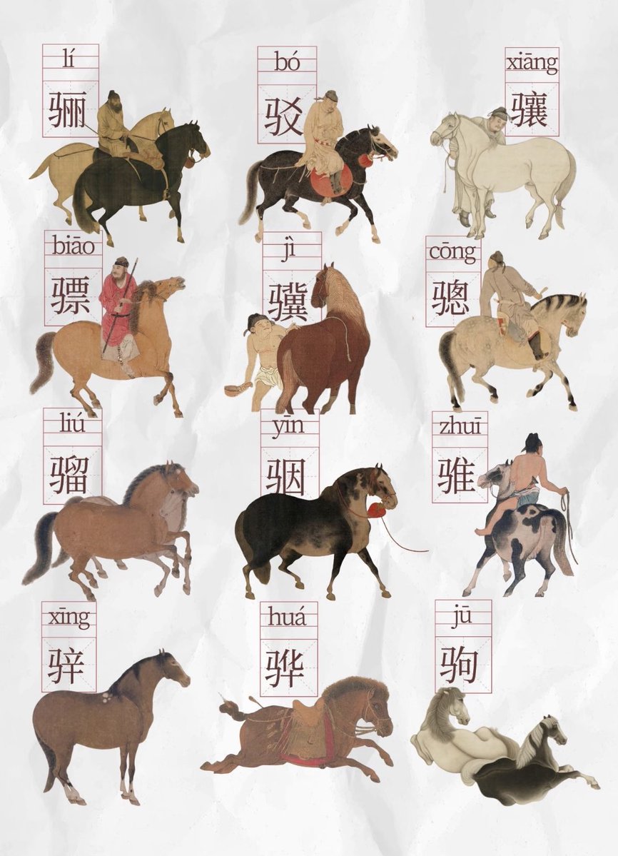 たぶん役に立つ情報｜古代中国の「馬の種類」

現代社会では、移動手段として多くの人が自分の車を持っている。日常の移動はとても便利になった。

しかし古代では事情が違う。特に上流階層や武人にとって、欠かすことのできない移動手段があった。それが馬。