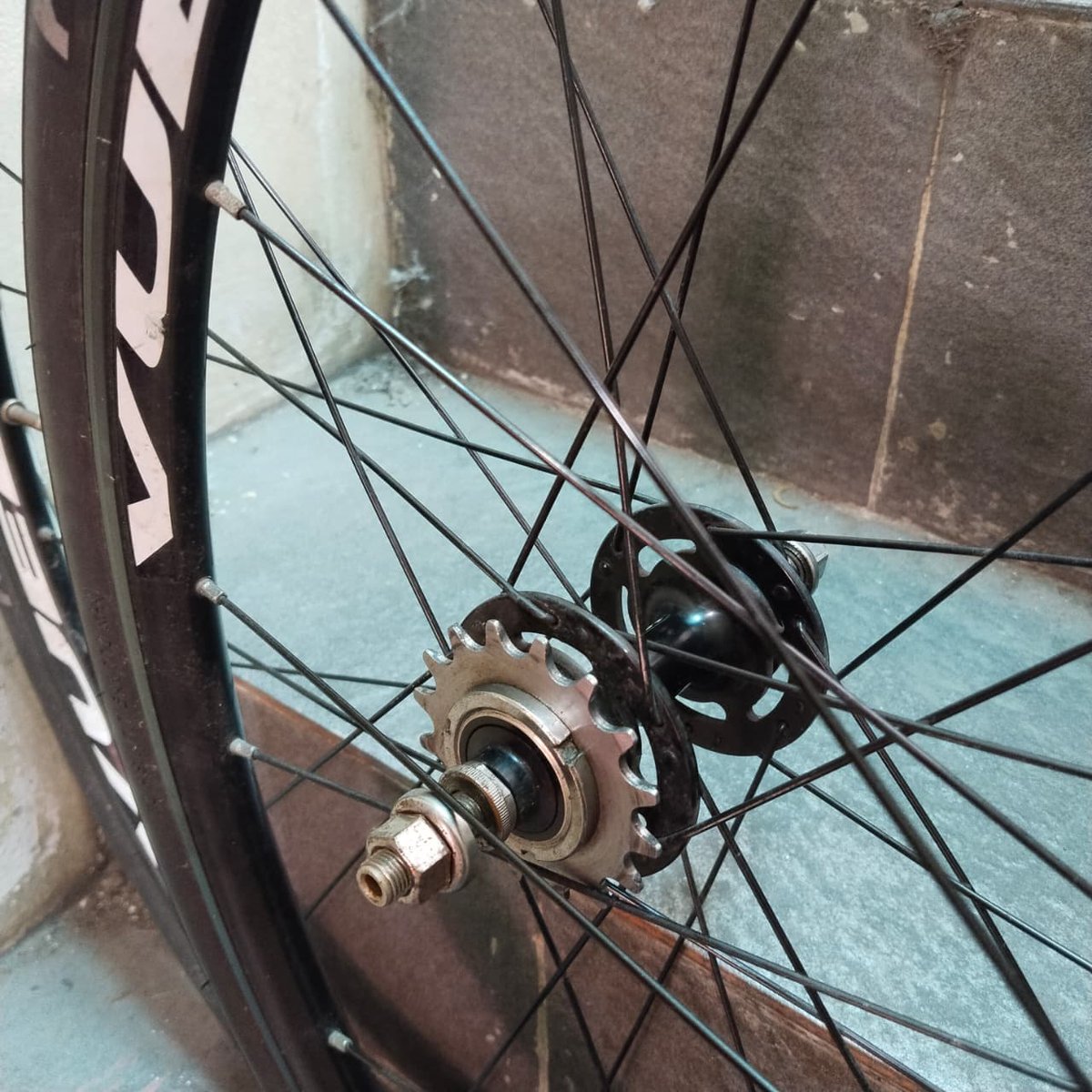 jeonudahmandi tweet media