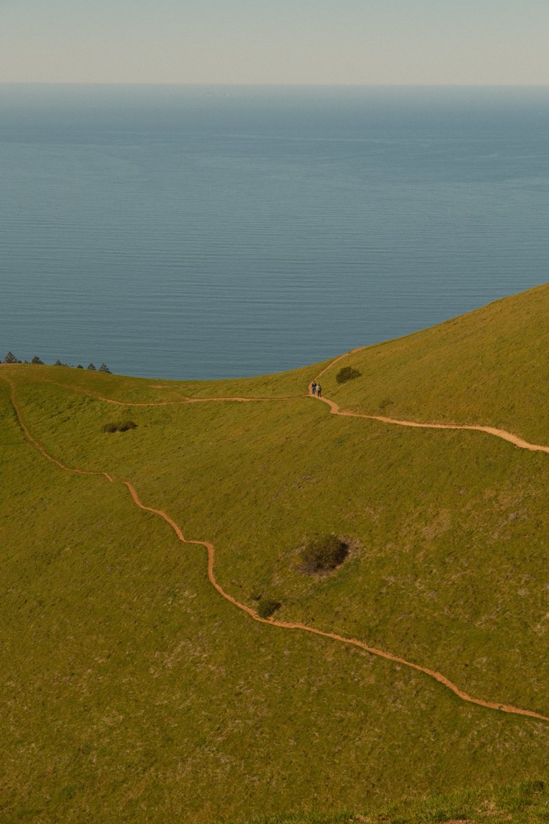 evan conrad tweet media