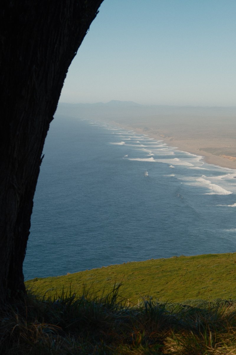 evan conrad tweet media