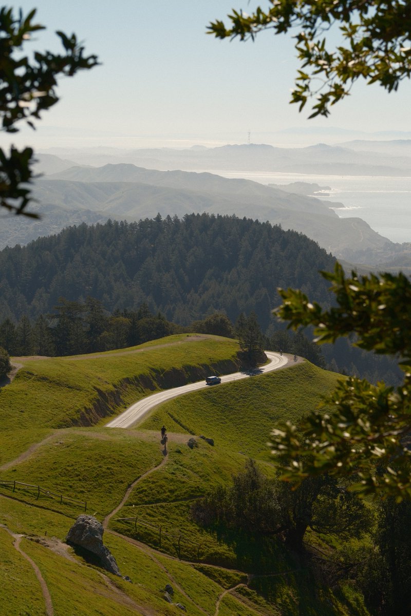 evan conrad tweet media