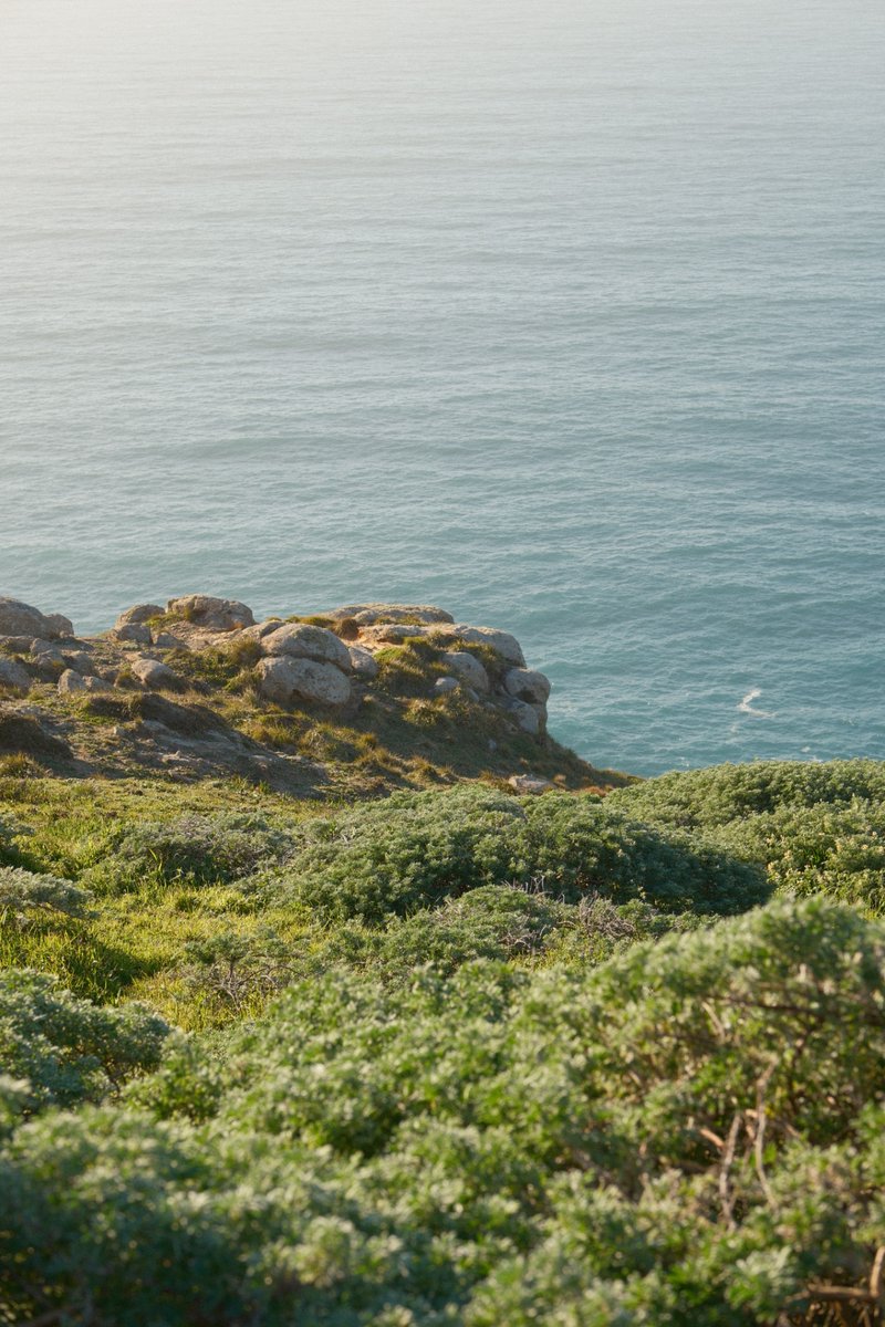 evan conrad tweet media