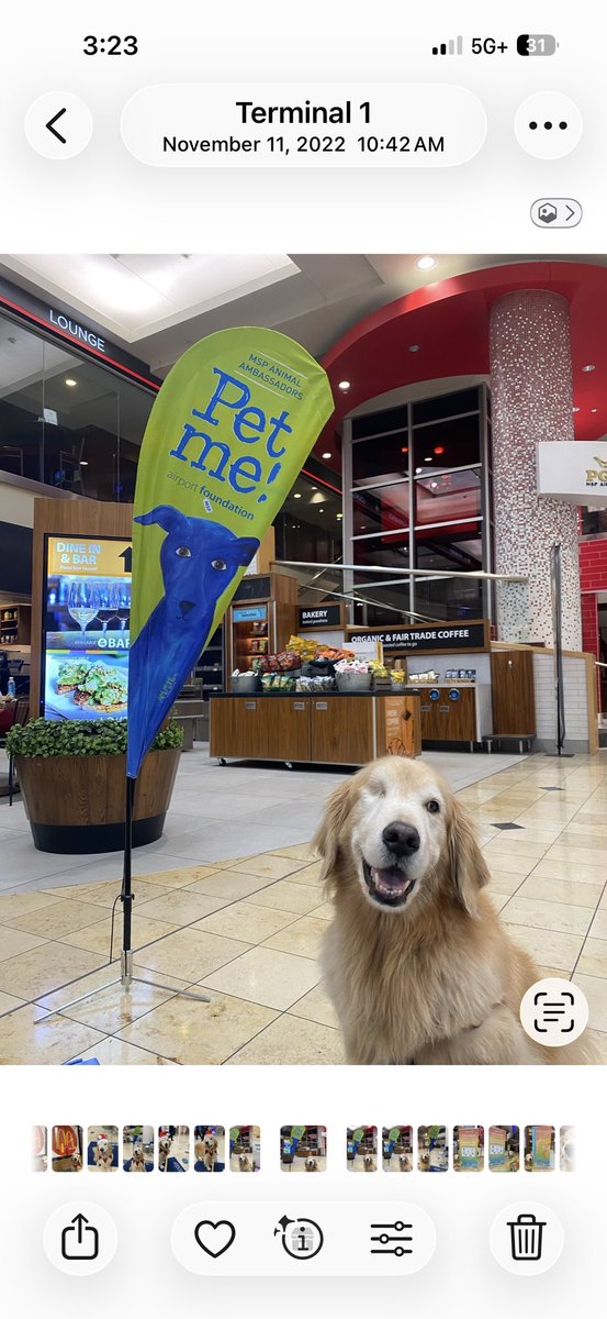 Bailey: the Therapy Dog tweet media