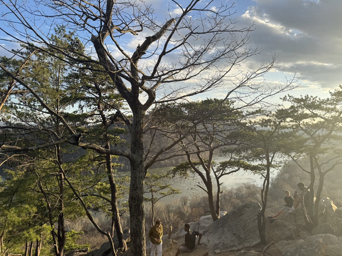 Tenko🔥 tweet media