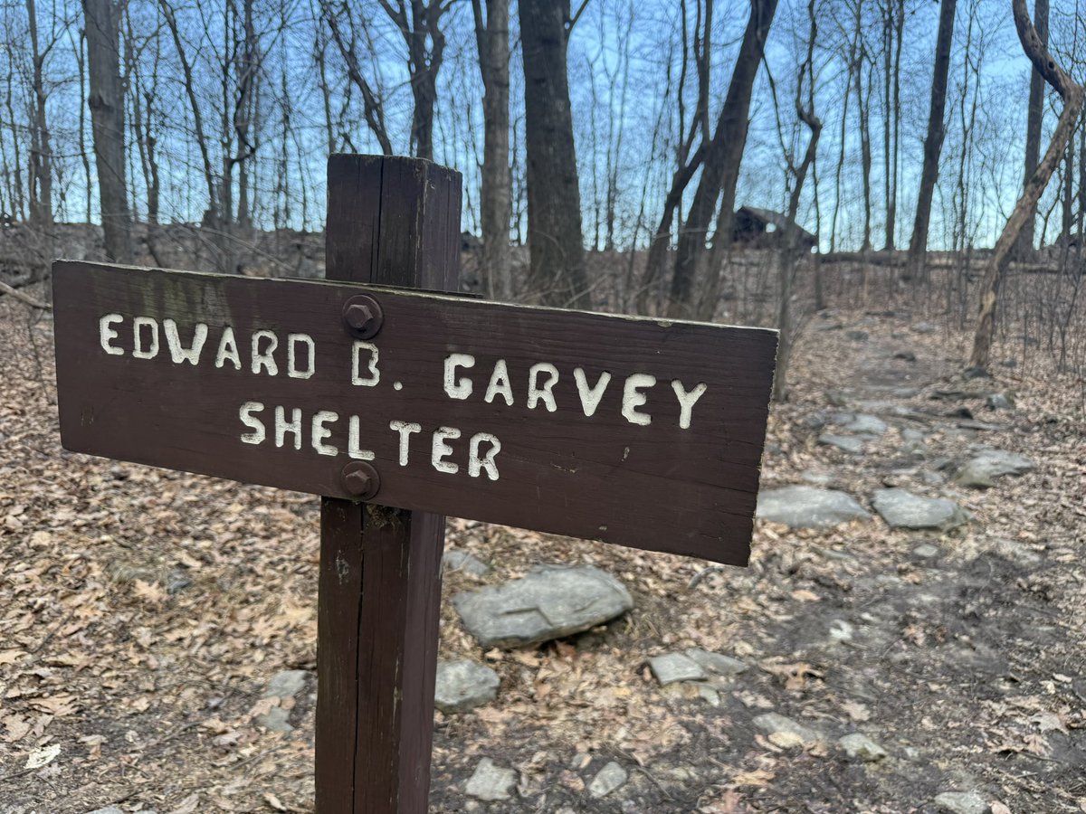 Tenko🔥 tweet media