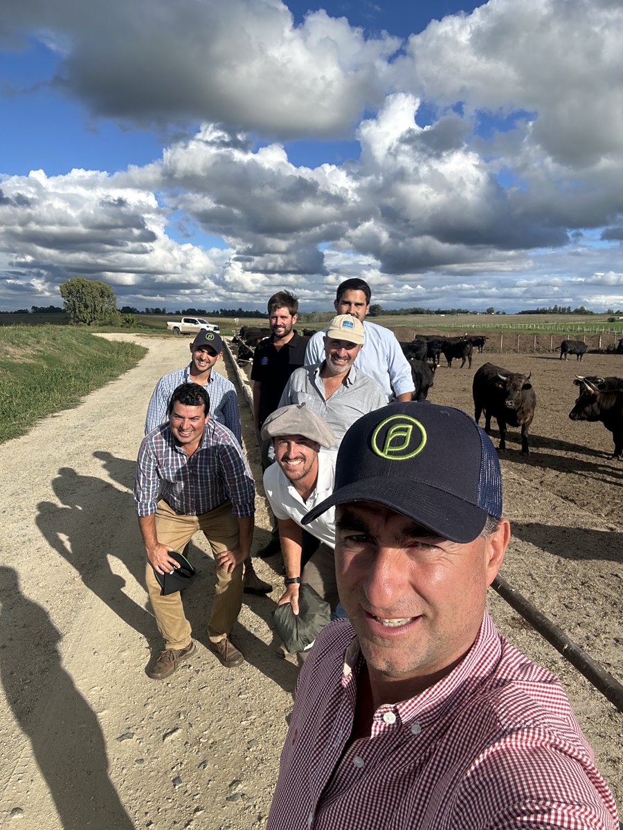 Dario Colombatto tweet media