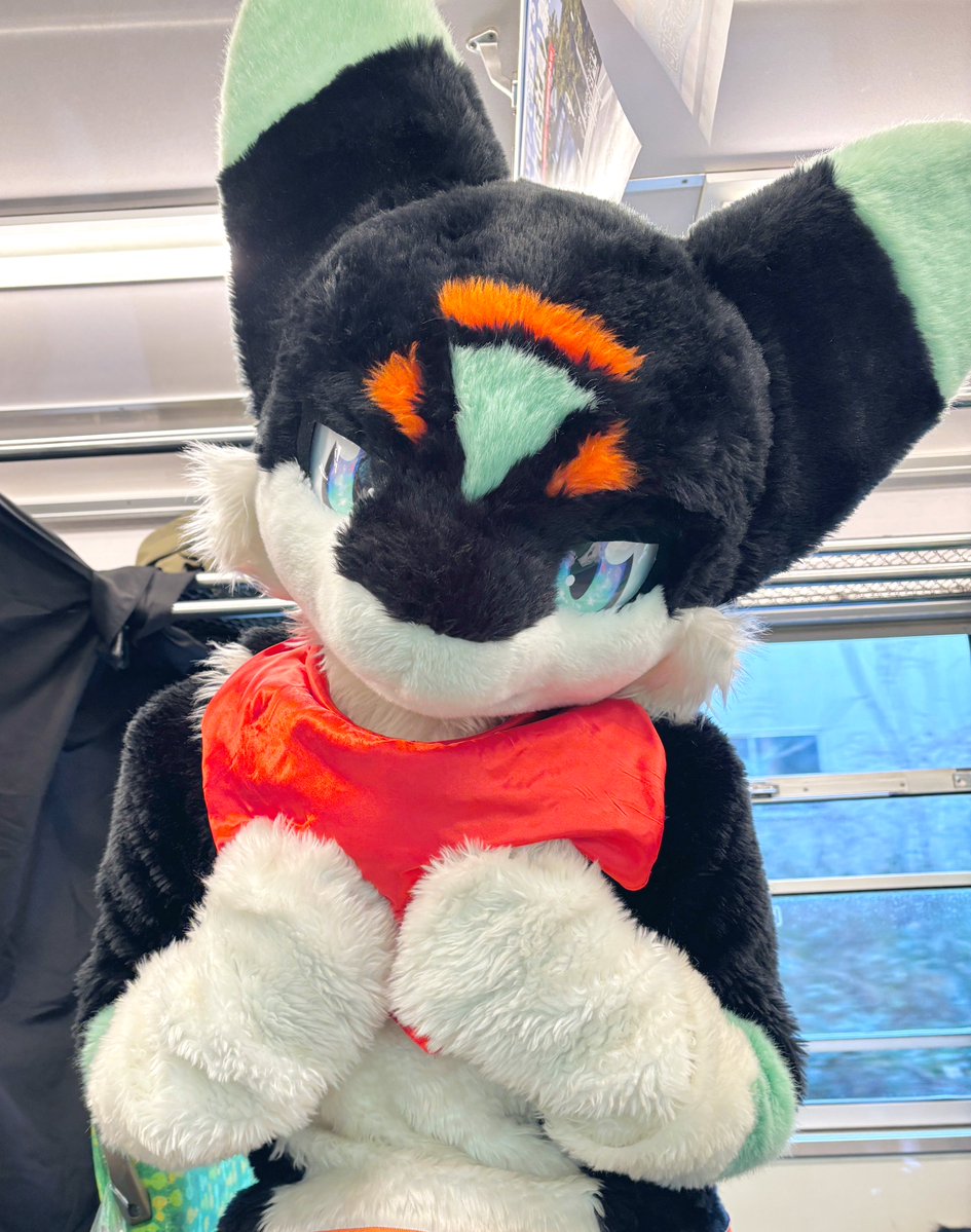 めるた🍀 tweet media