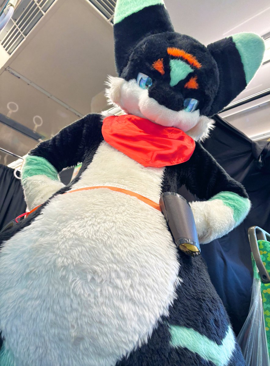 めるた🍀 tweet media