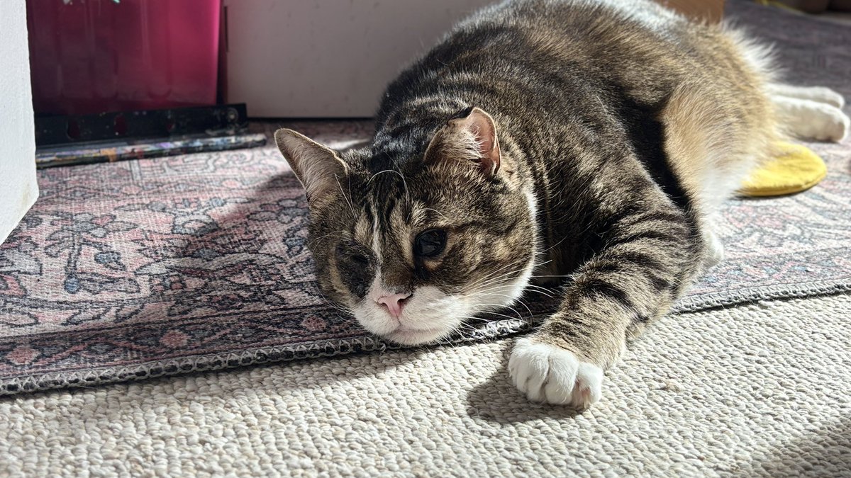 He’s been enjoying the sunshine lately