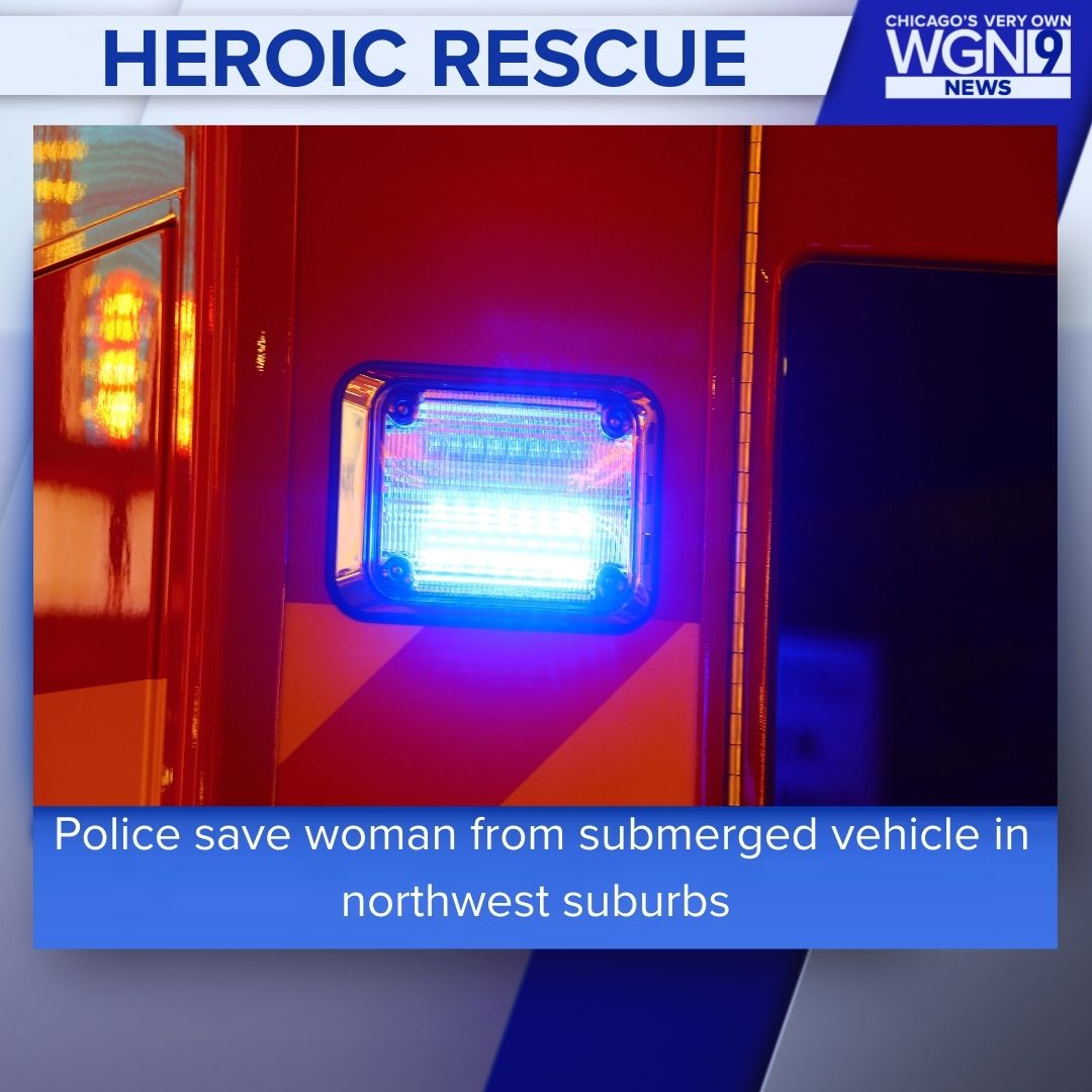 WGN Morning News tweet media