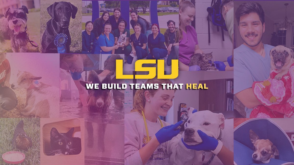 LSU President Dr. Wade Rousse tweet media