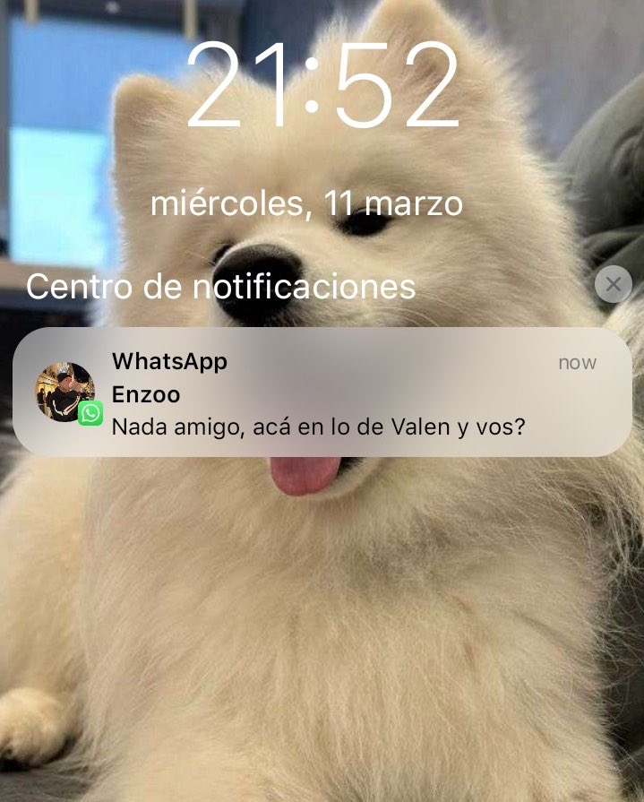 Loliispider's tweet photo. ᥫ᭡ 042  ᥫ᭡ || A “coso” https://t.co/9LzylR8C8H