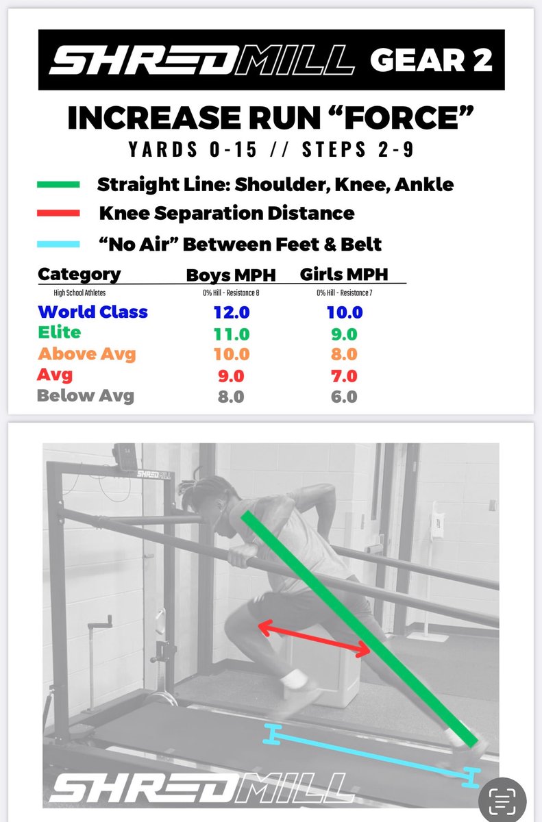 Natalie Hoffman tweet media