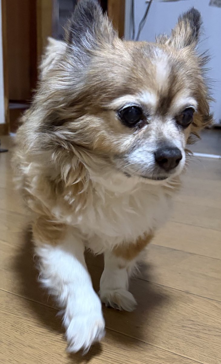 10年ニート tweet media