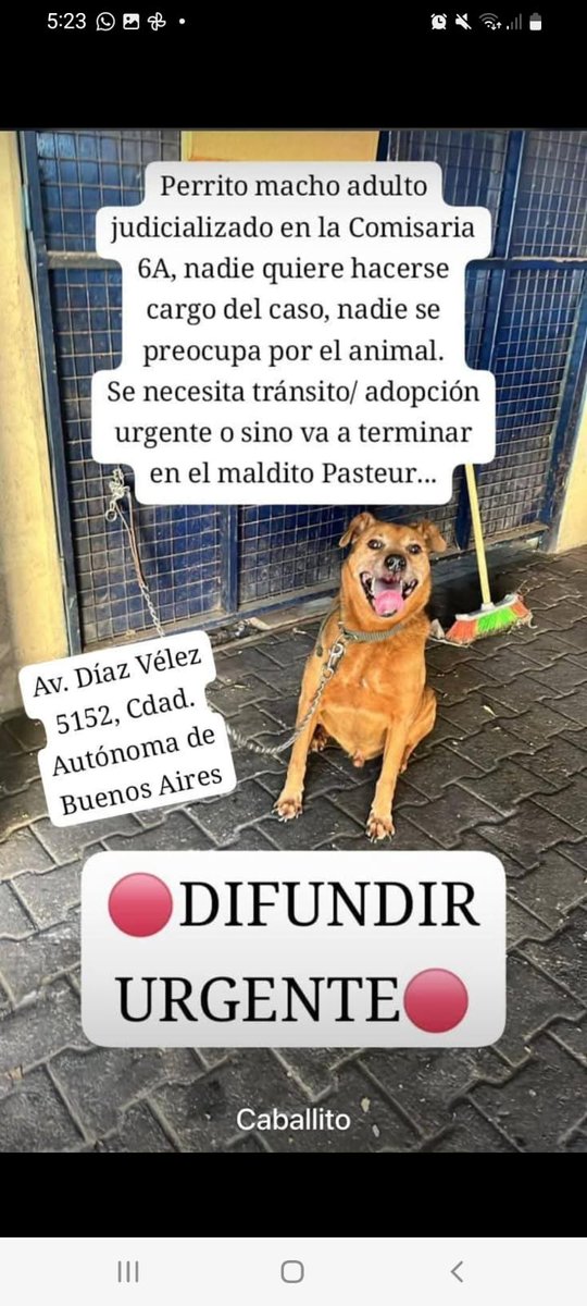 RAQUEL TERESITA MAITA tweet media