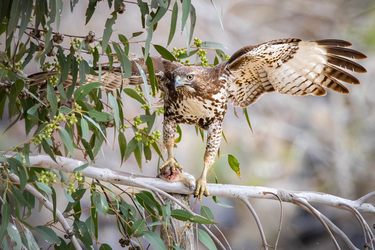 Tina Quillen Photography tweet media