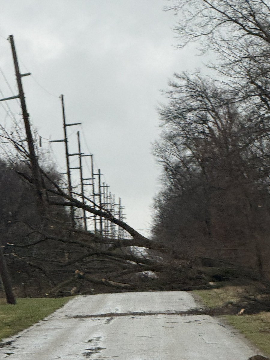 niknikolaj's tweet photo. After math on my property https://t.co/FeZrDGc8d7