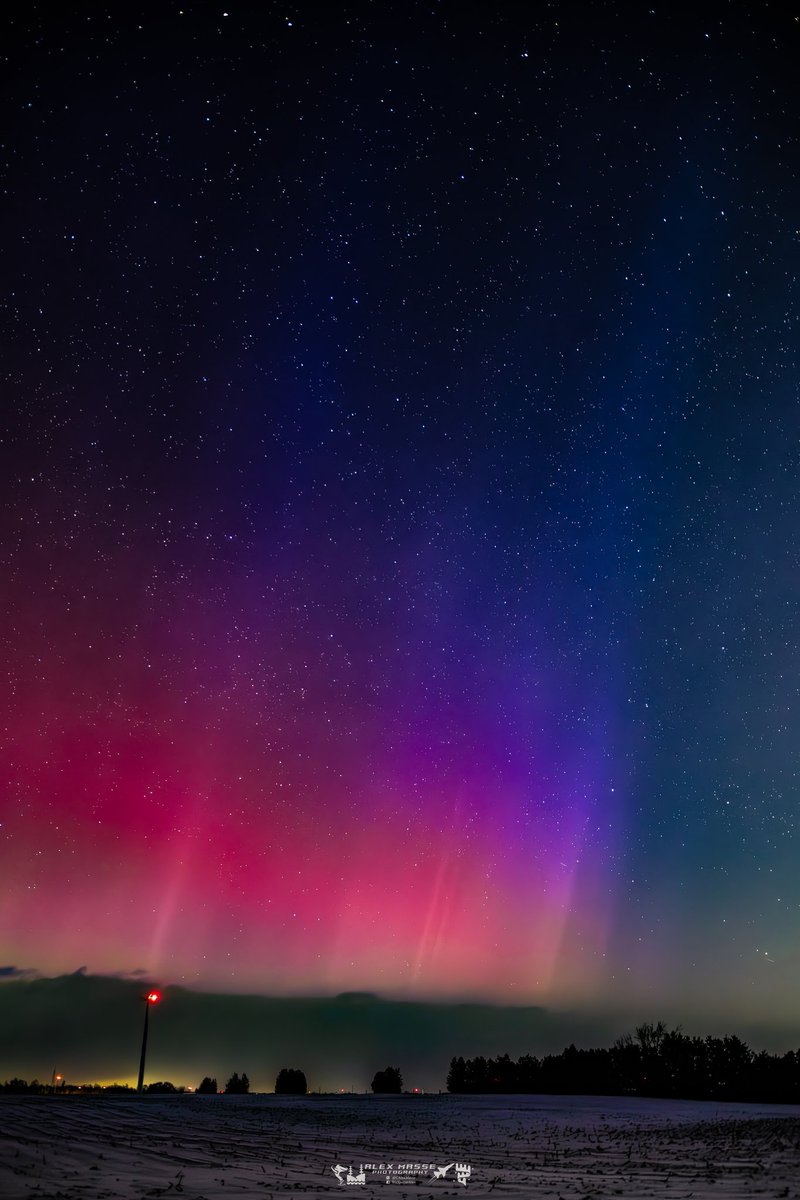 Alex Masse tweet media