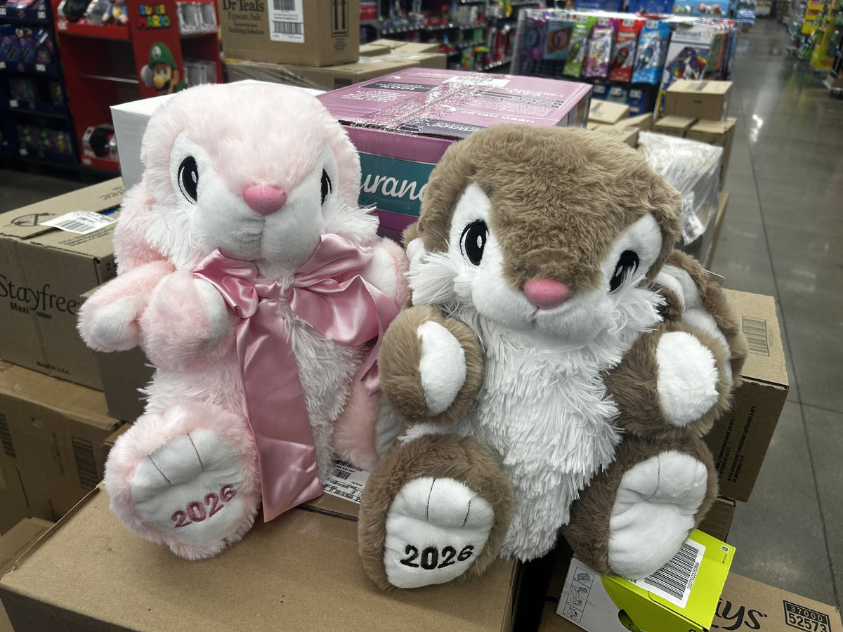 Sal loves Rojancy….& Tamar! tweet media