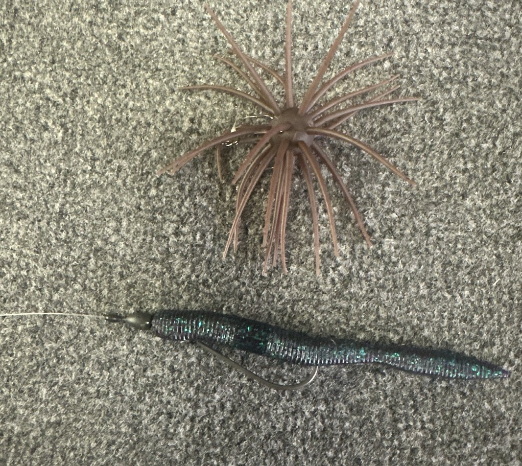 JayKumarBass tweet media