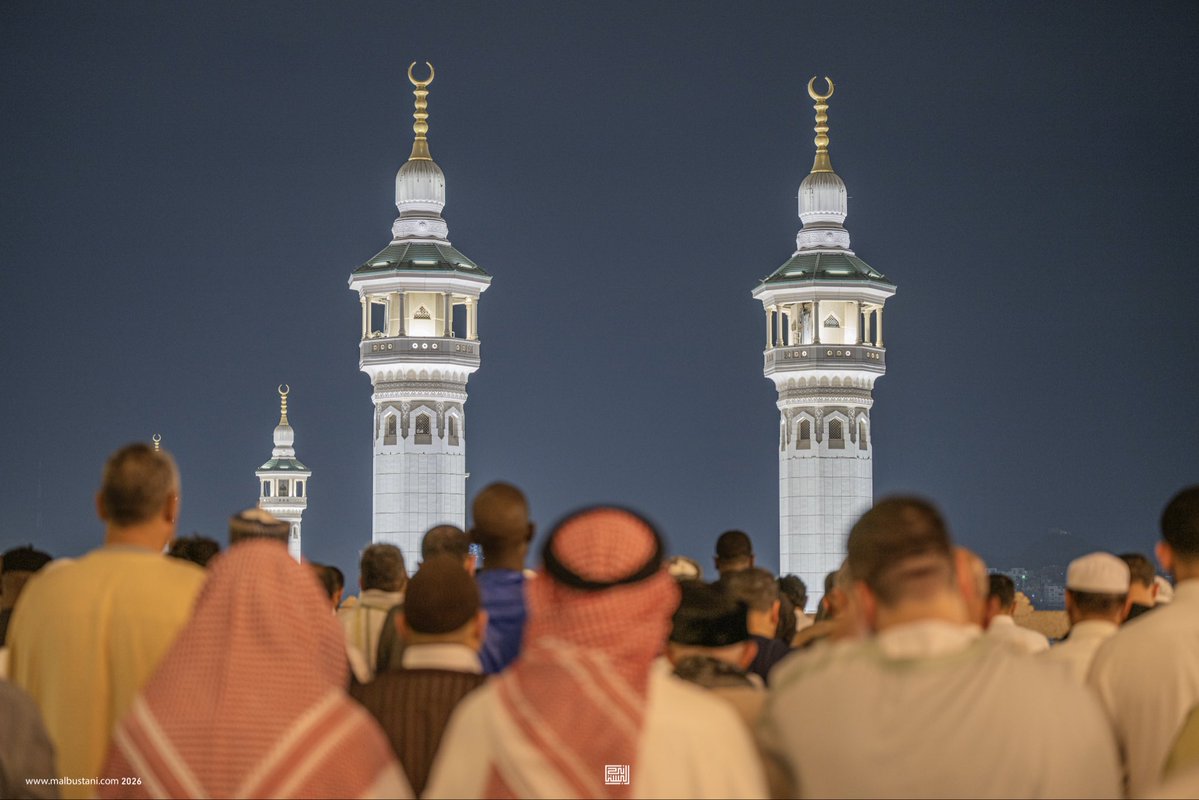 Malbustani 📷 محمد البستاني tweet media