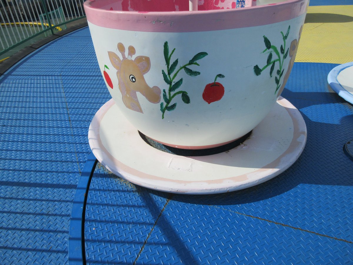 kobeojizoo's tweet photo. #遊園地 の色が薄くなってハゲていた柵や一部の遊具を #海星女子学院 #中高等部 のみなさんが塗りなおしてくれて、楽しい気持ちを盛り上げる素敵な乗り物になりました❣
ティーカップを #中学部 #生徒会 が、飛行塔を #高等部 #美術部 が思い思いに絵を描いてくれました
乗りに来てね☕️✈️
#王子動物園 https://t.co/BiJlCJ9f34