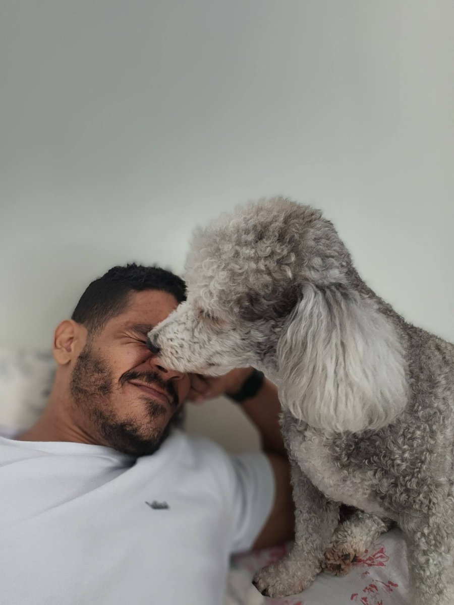 Sânsio Mendonça tweet media