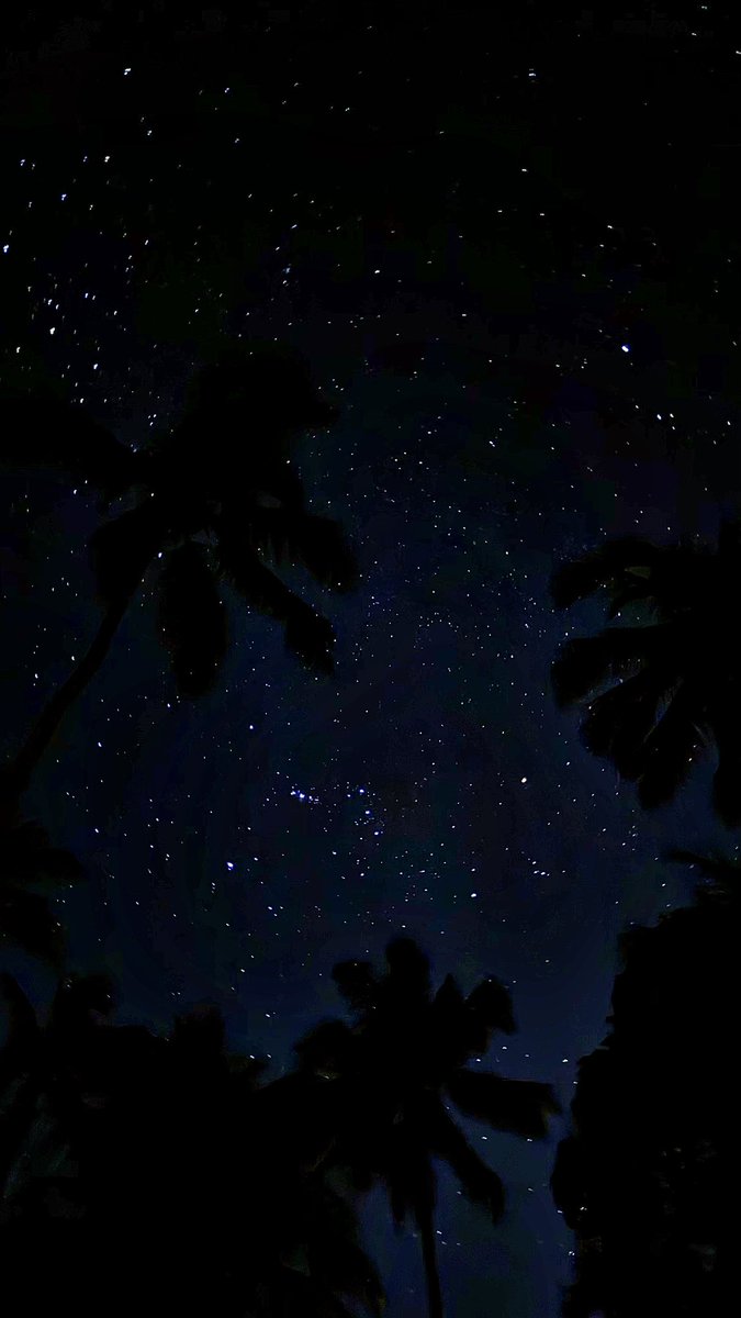 CARIOCAXXL tweet media