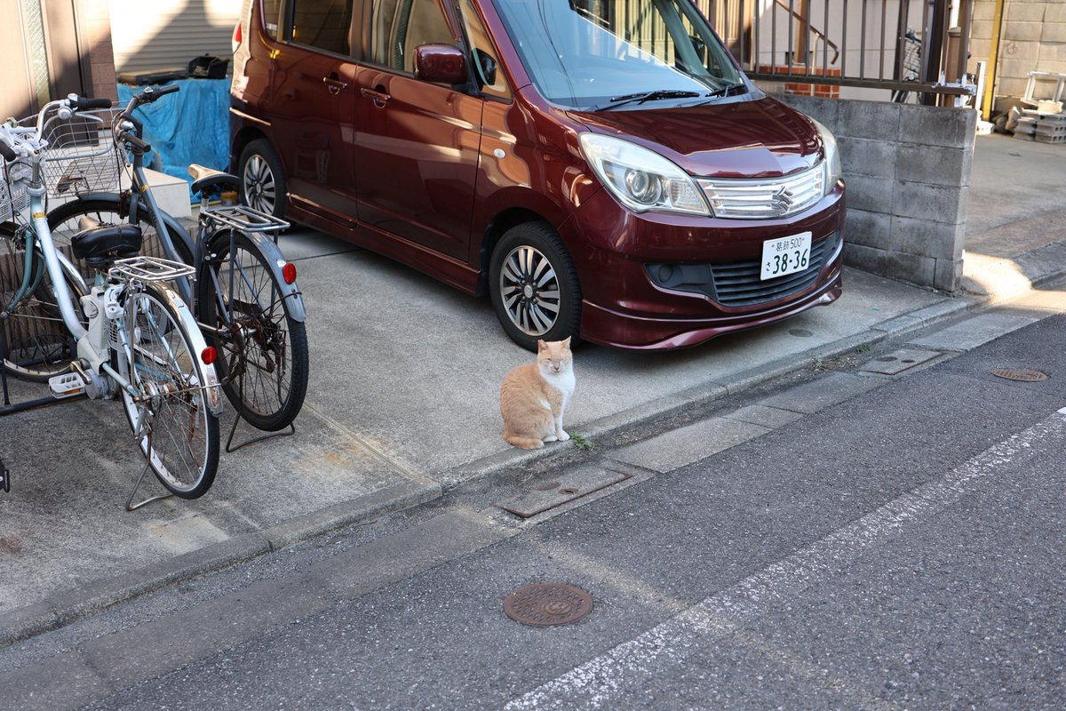 roppe (@enbundaisukii) on Twitter photo 