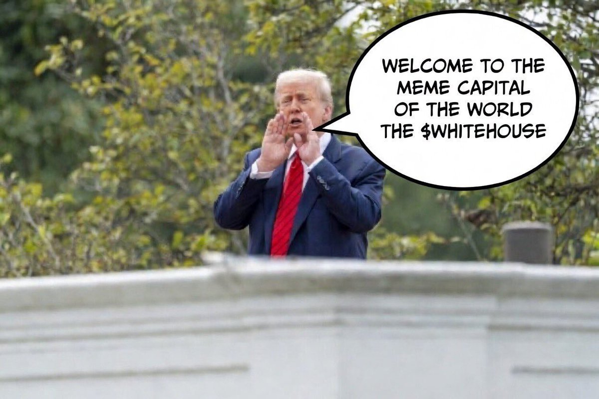 Tre 🔶 tweet media