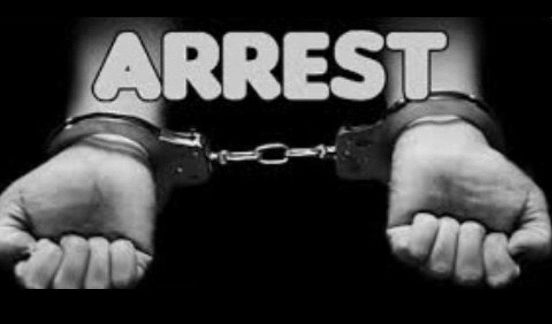 Christopher Knoll tweet media