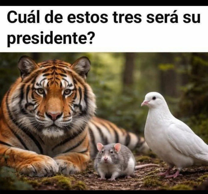 Carlos Manuel García Barco (@carlosmagaba) on Twitter photo 