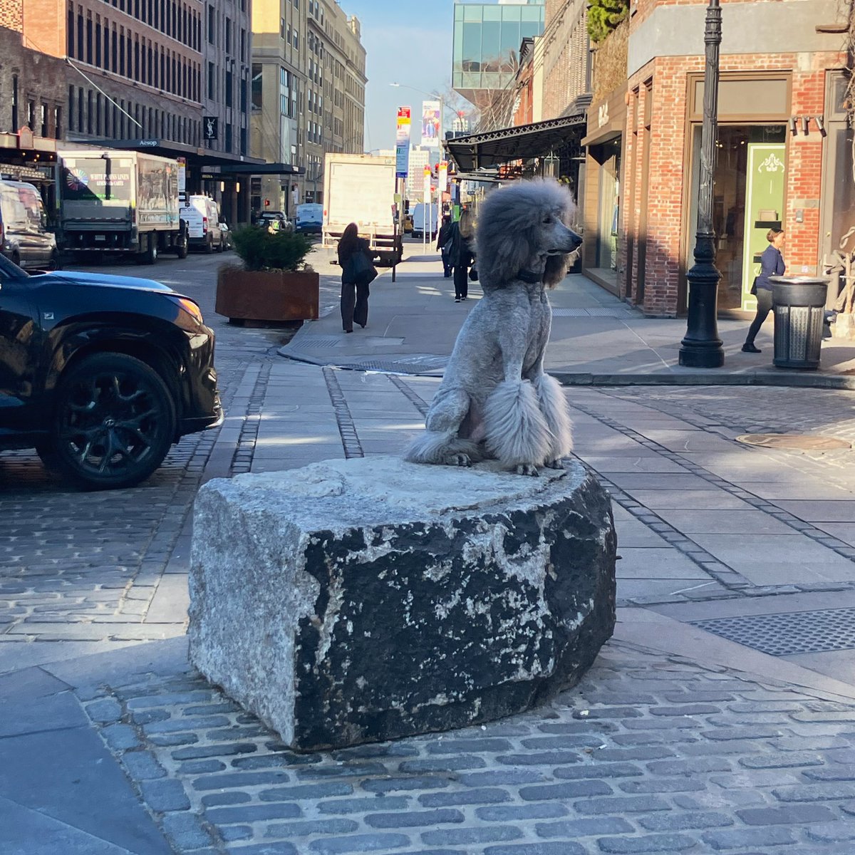 Iris ten Teije tweet media