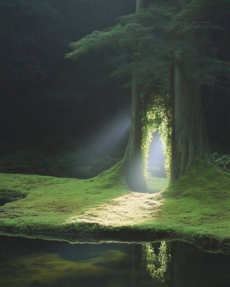 Aesthetics tweet media