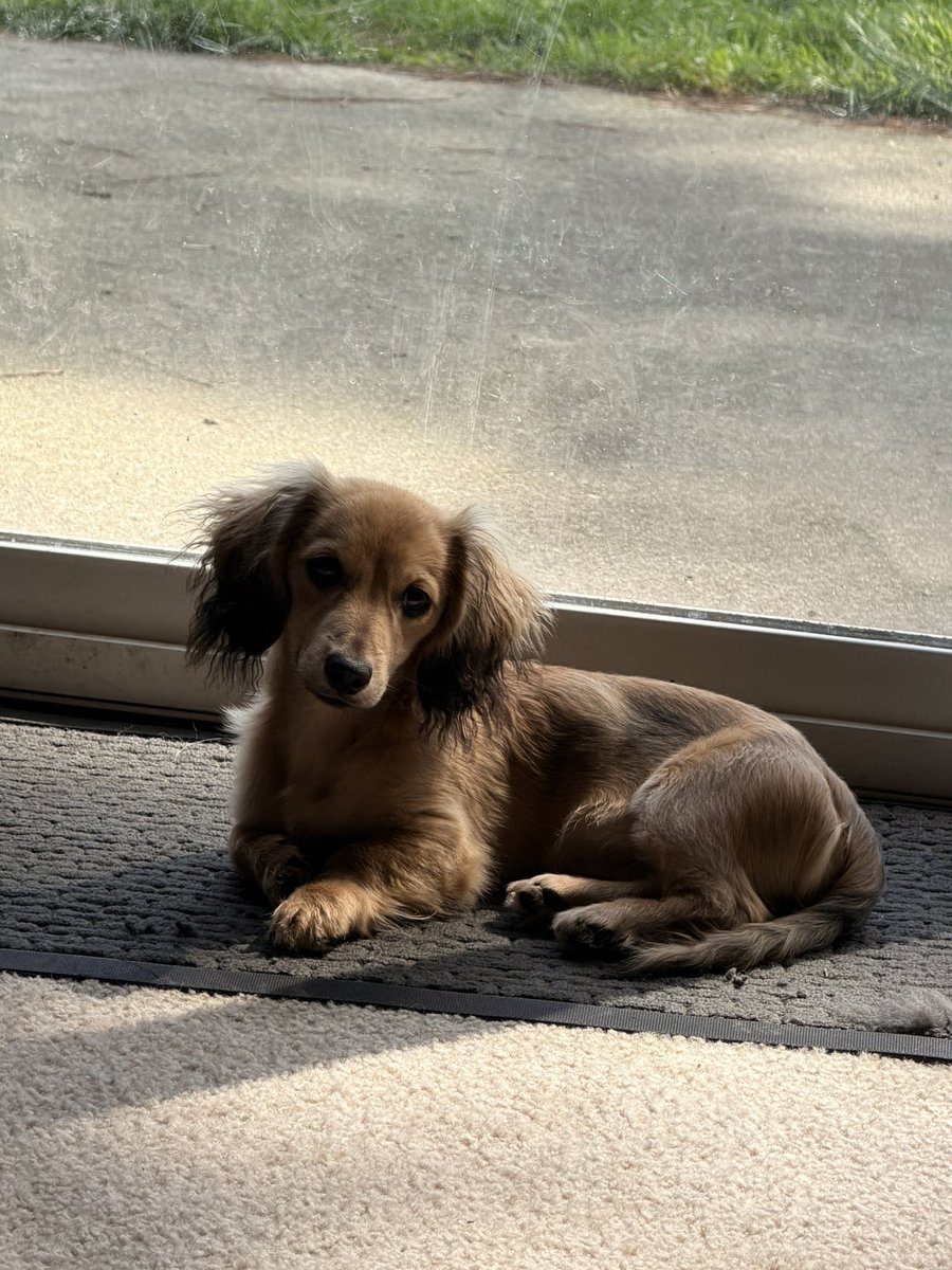 💙 Ψ Hailey Ψ 🩷 tweet media