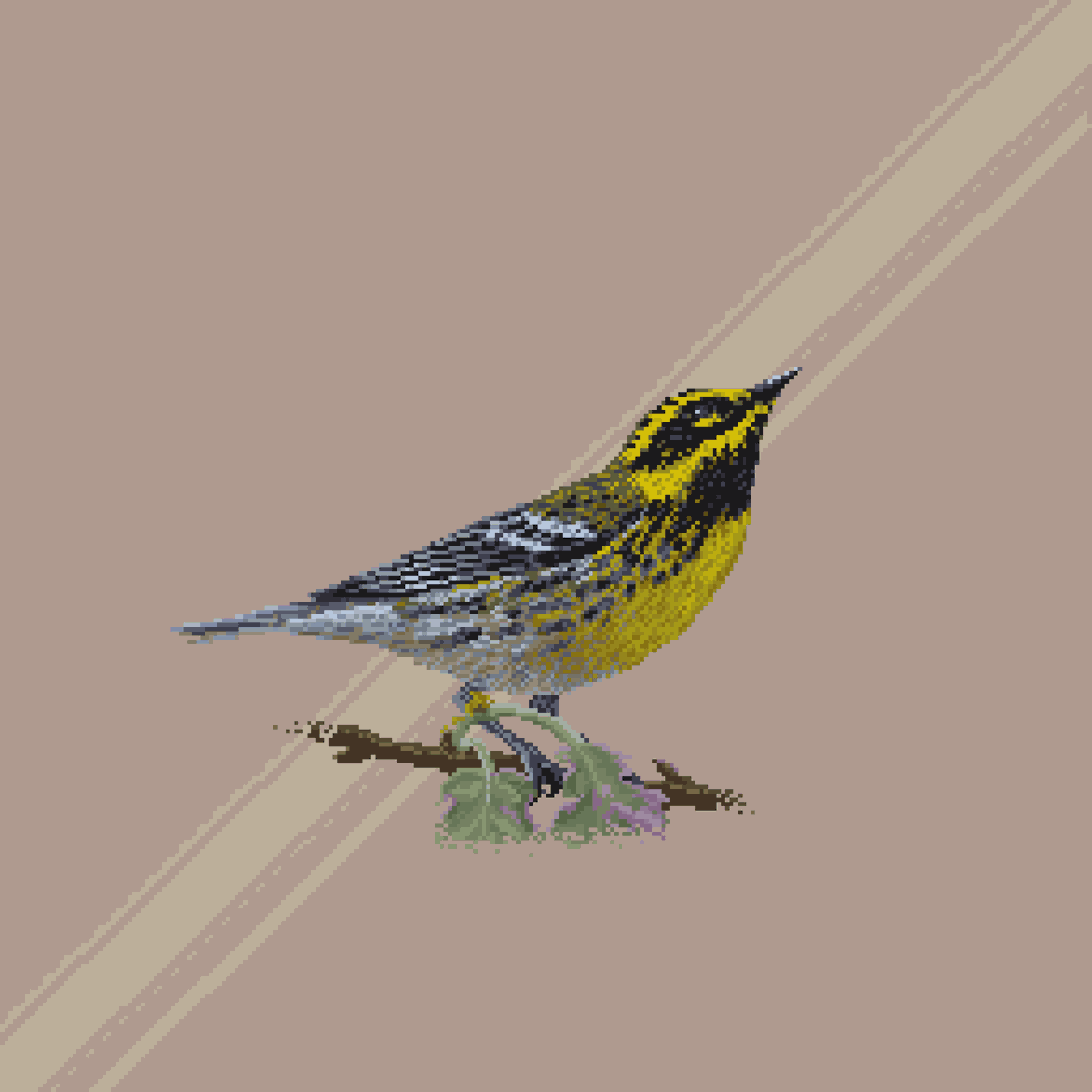 A. Marmot 🌱Underground🌱 tweet media