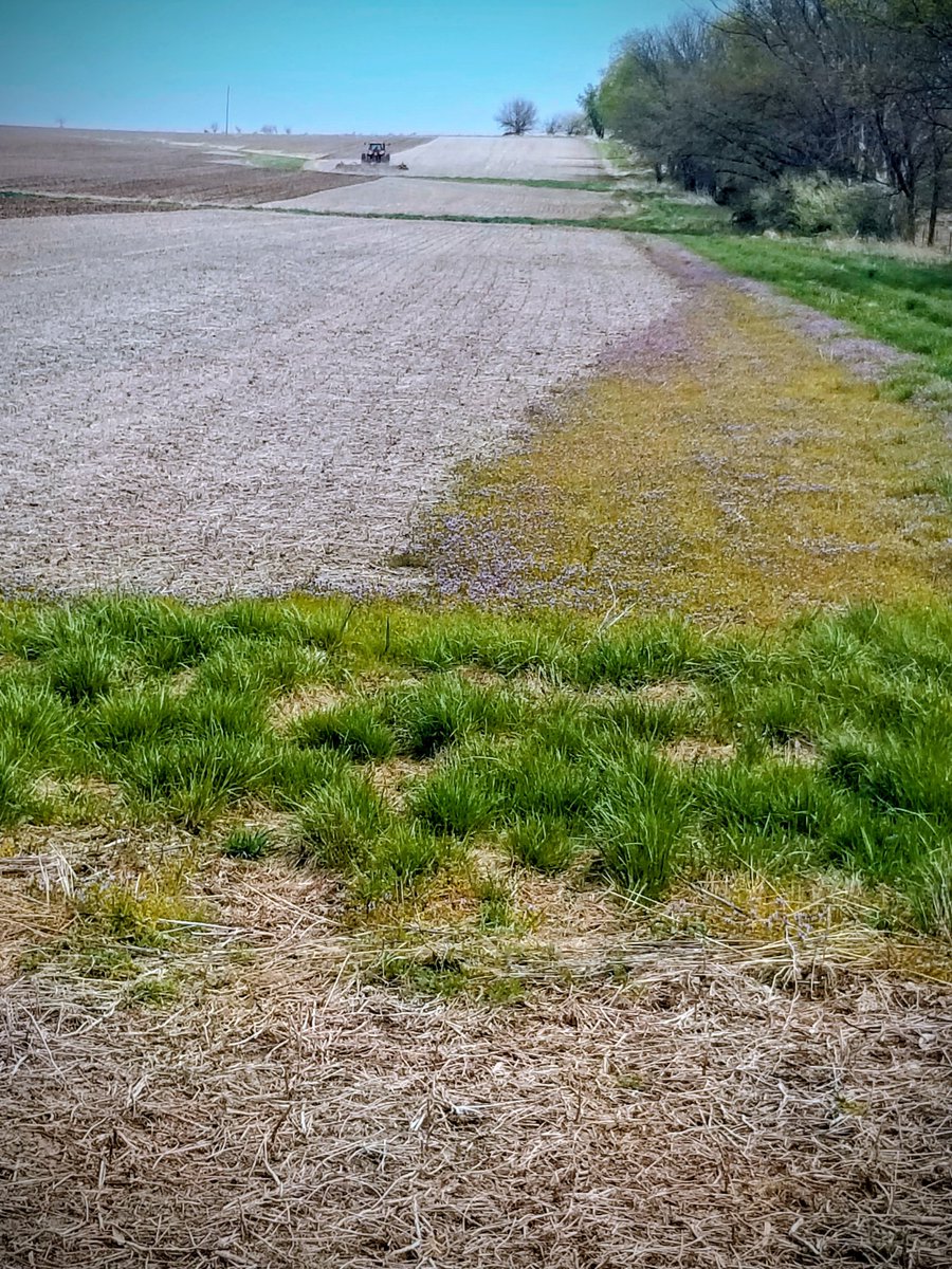 FarmingBD's tweet photo. @_TheMizzouTiger Fall application for the win in our part of the world, we never dry out! https://t.co/NlRg91lXcQ