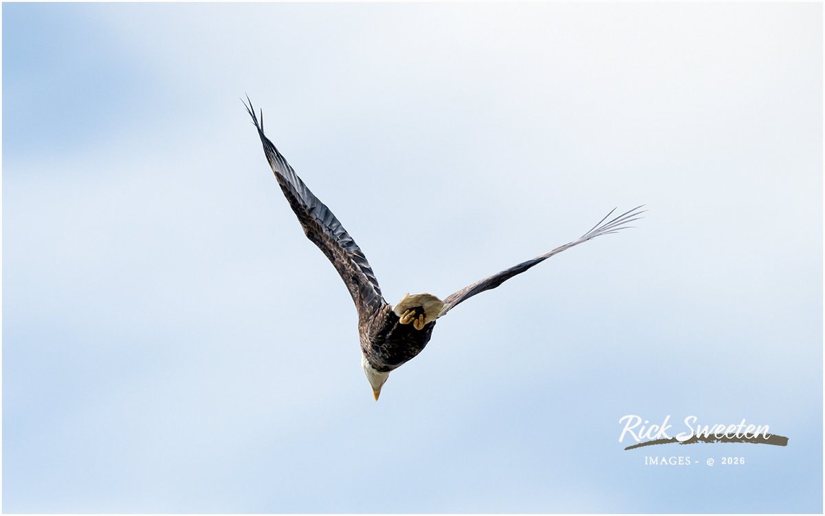 Rick Sweeten tweet media