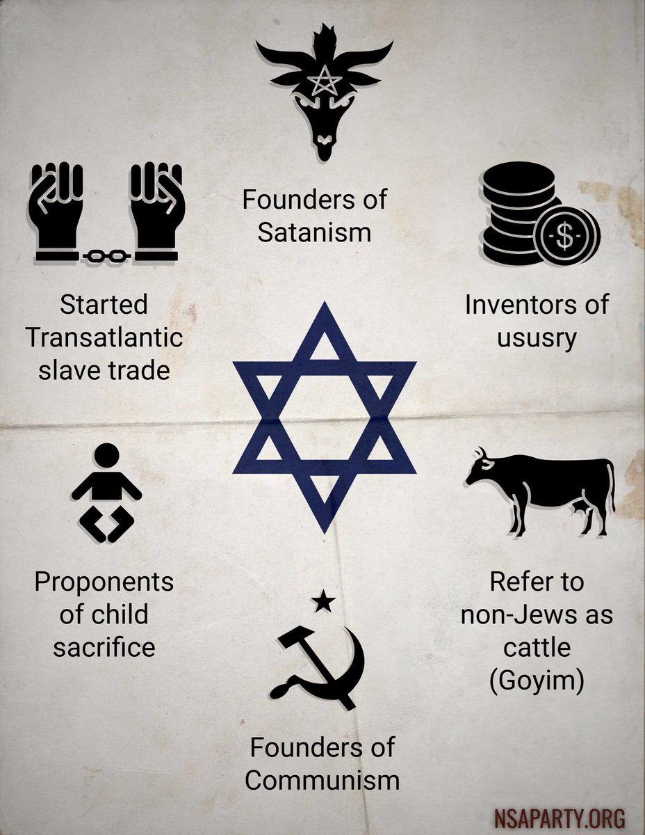 The National Socialist American Party tweet media