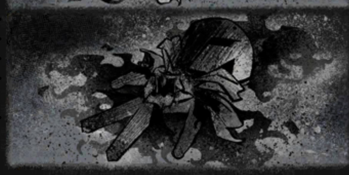 Timely Silentfaelily 🦋⚜️🧂 tweet media