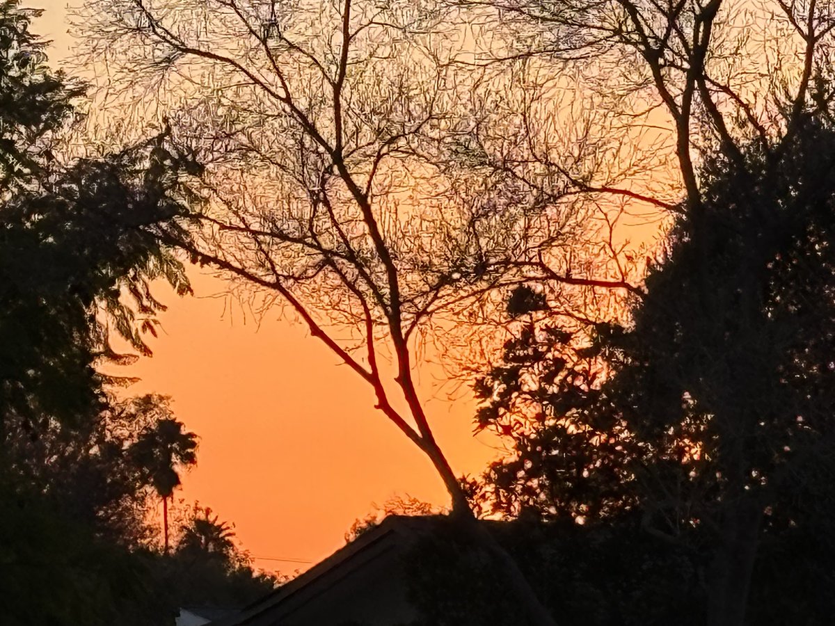 MaryAshleyJD's tweet photo. Beautiful sunset … spring is just around the corner! #wednesdayeve https://t.co/tmZtljtXr2