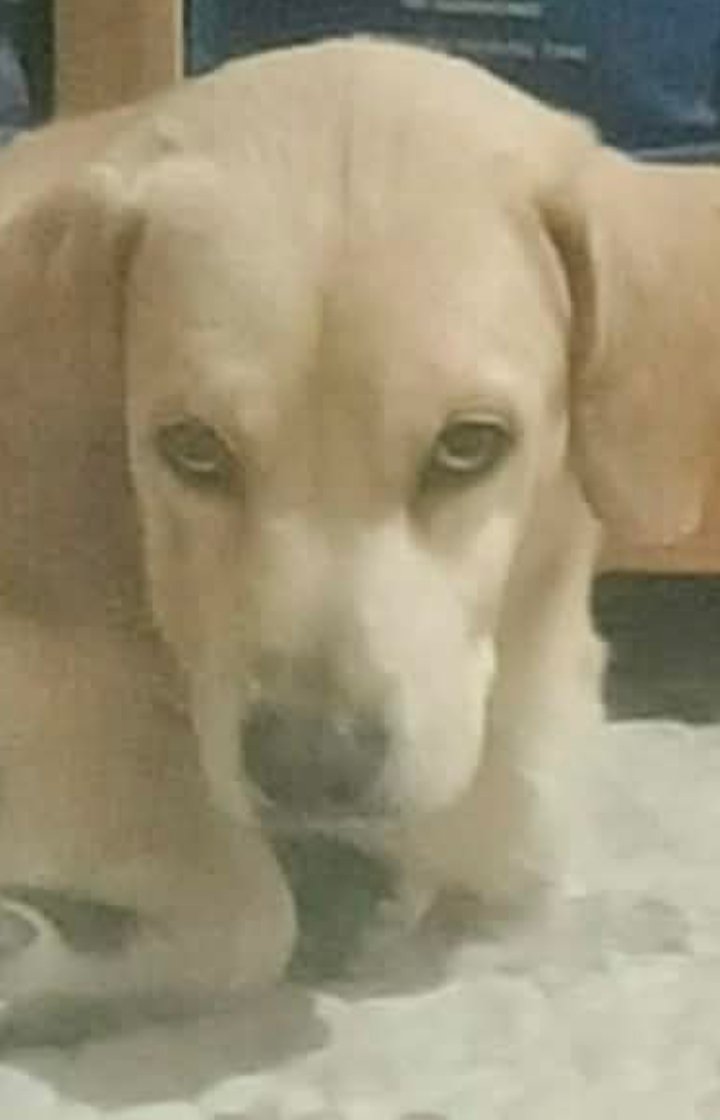 YR💃🎗️🌸 tweet media