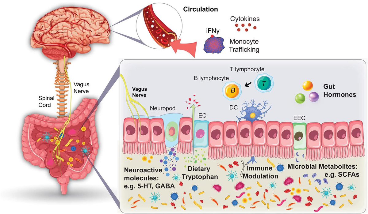 Sergio Zúñiga tweet media