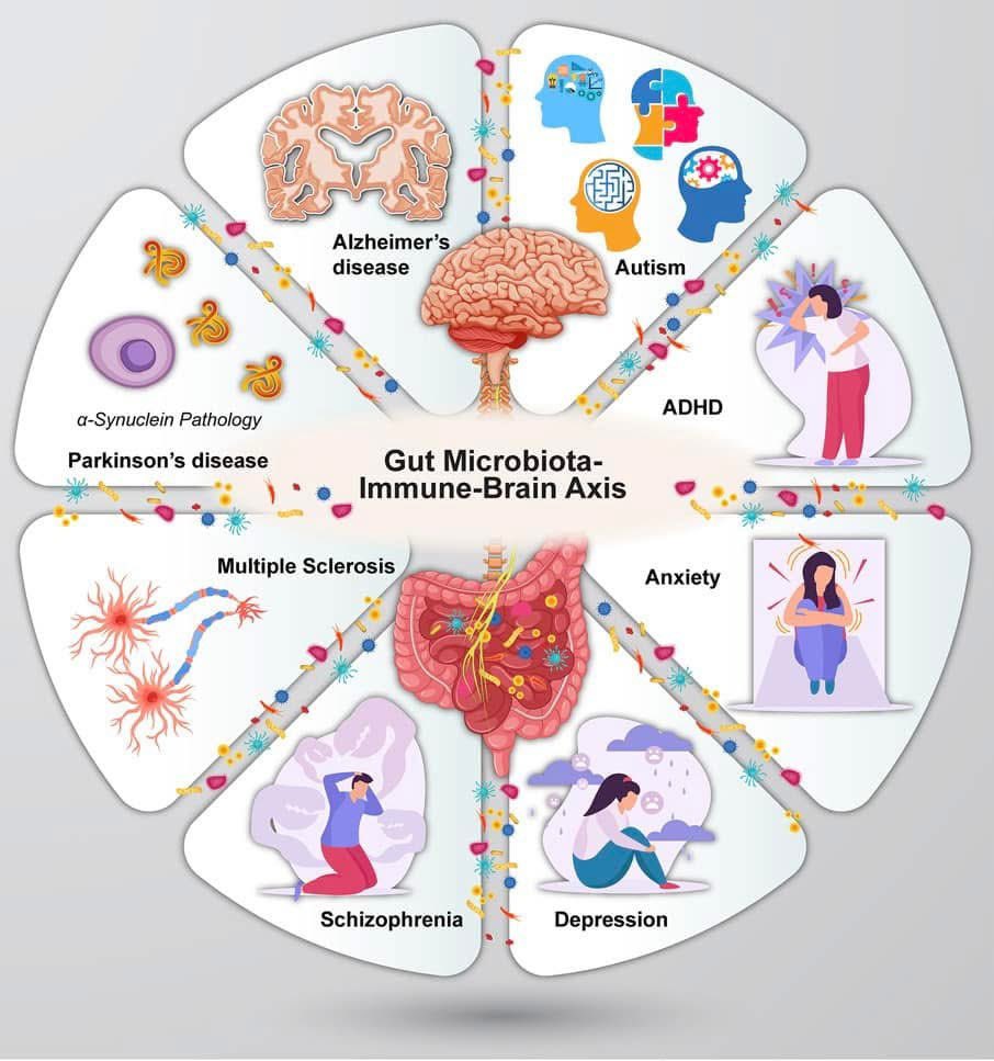 Sergio Zúñiga tweet media